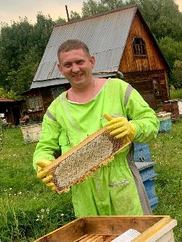 Томский мед победил во Всероссийском конкурсе «Лучший мёд России — 2023»